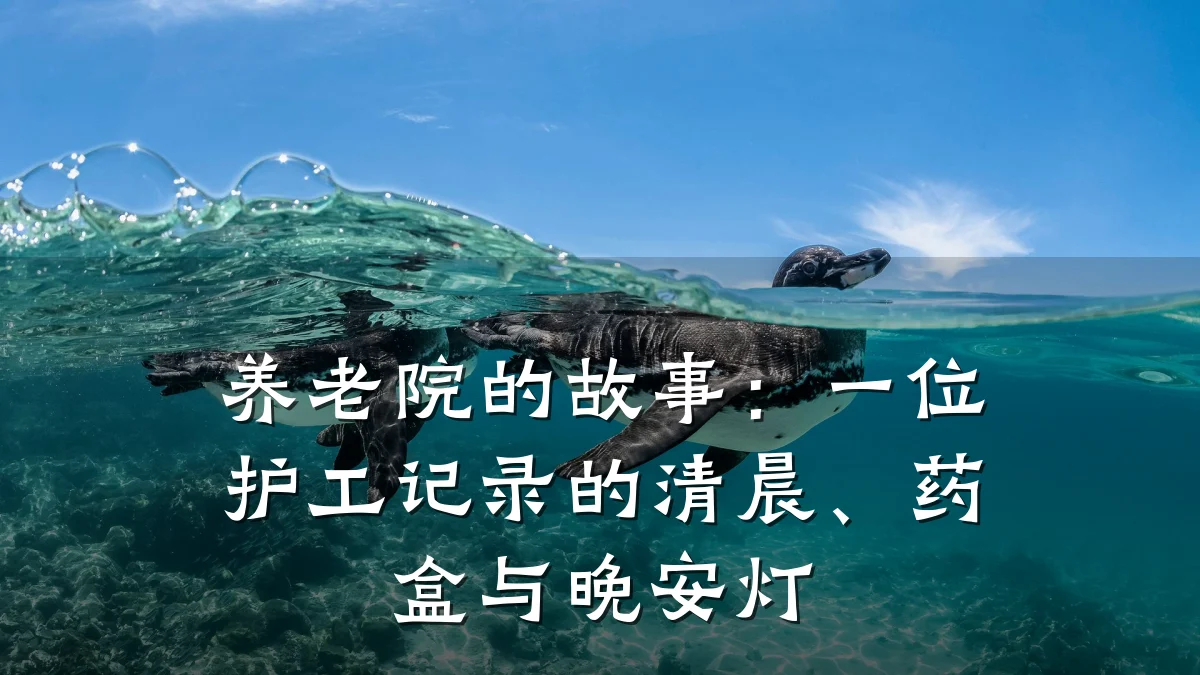 养老院的故事:一位护工记录的清晨、药盒与晚安灯