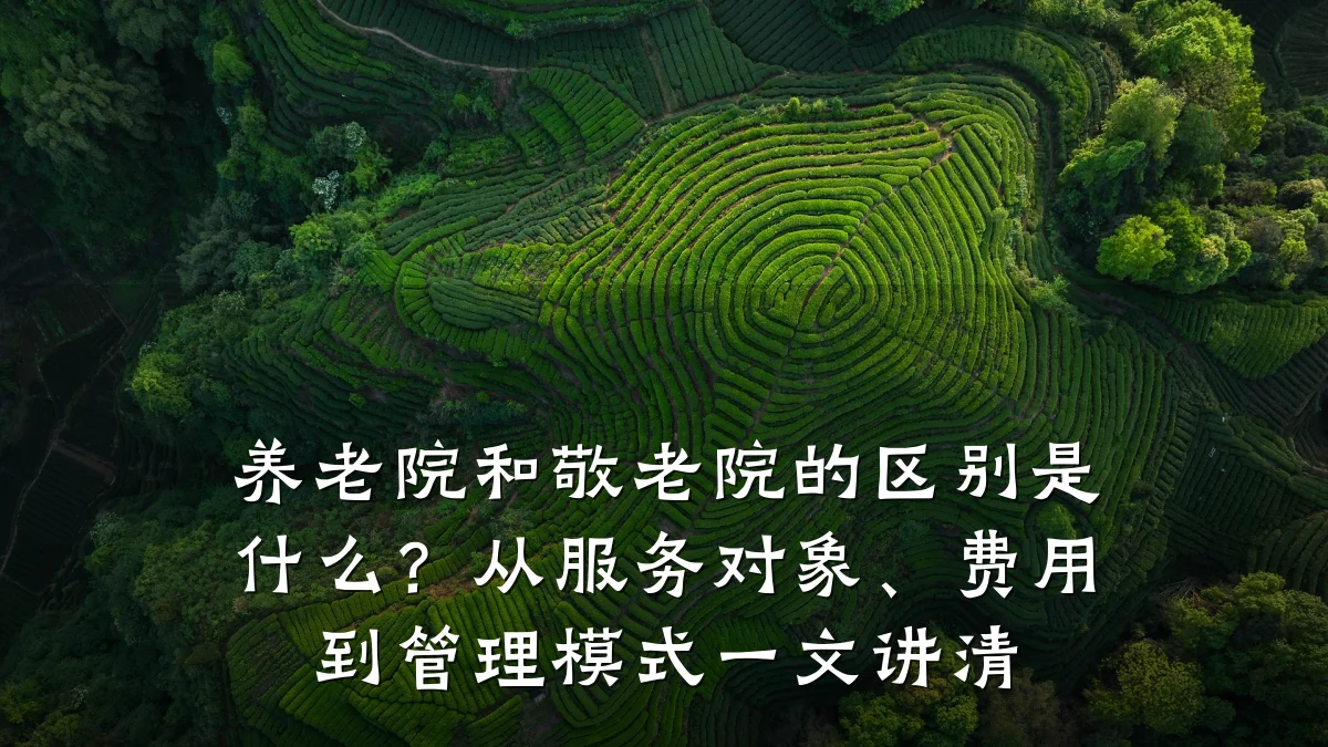 养老院和敬老院的区别是什么?从服务对象、费用到管理模式一文讲清