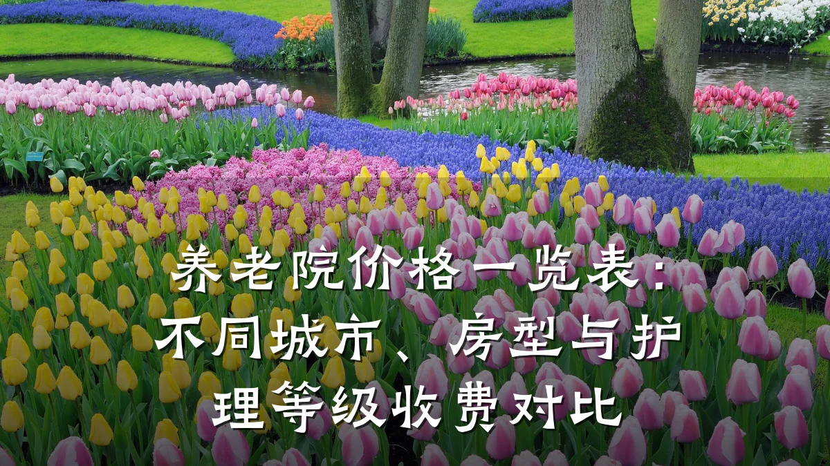 养老院价格一览表:不同城市、房型与护理等级收费对比
