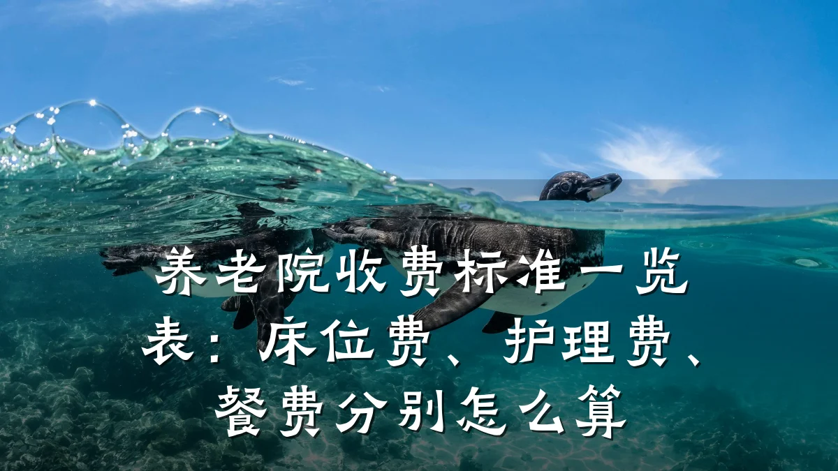 养老院收费标准一览表:床位费、护理费、餐费分别怎么算