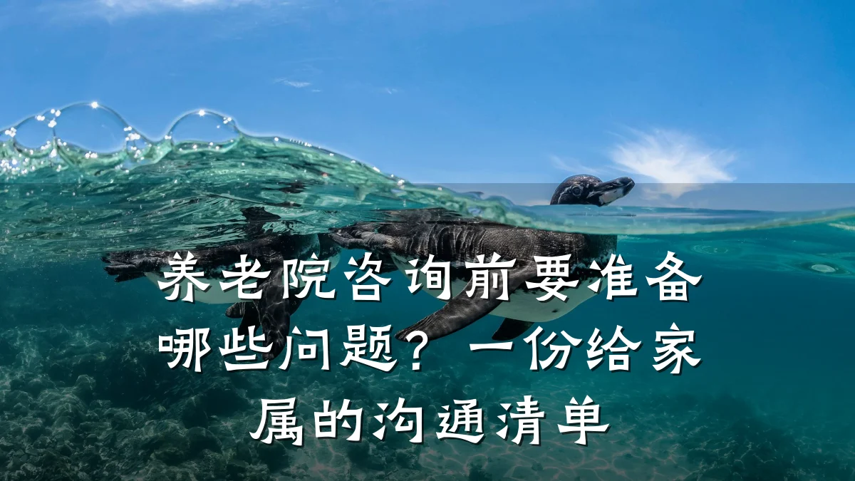 养老院咨询前要准备哪些问题?一份给家属的沟通清单