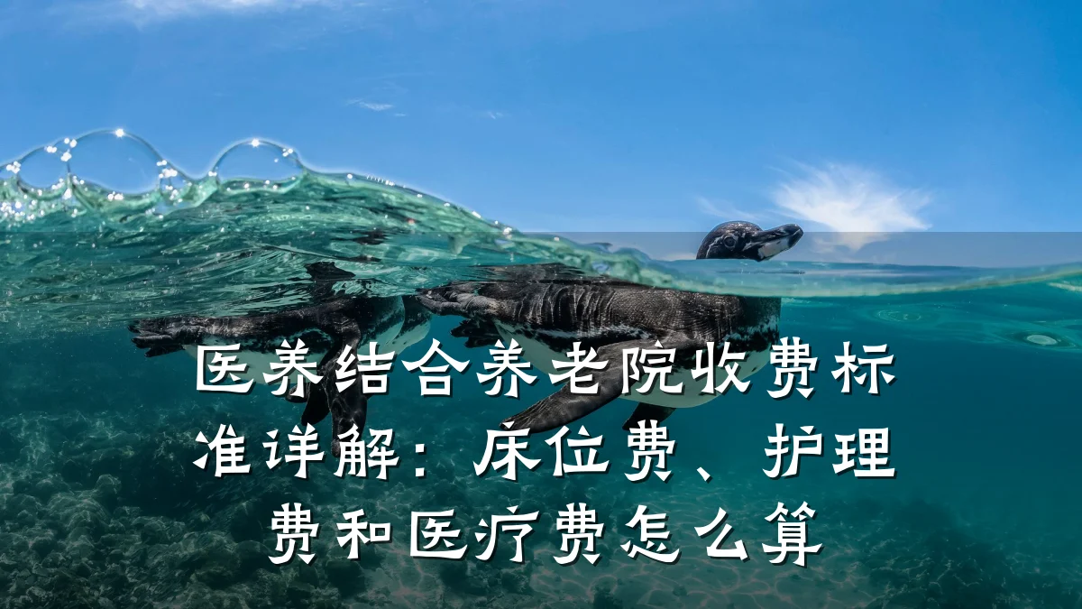 医养结合养老院收费标准详解:床位费、护理费和医疗费怎么算