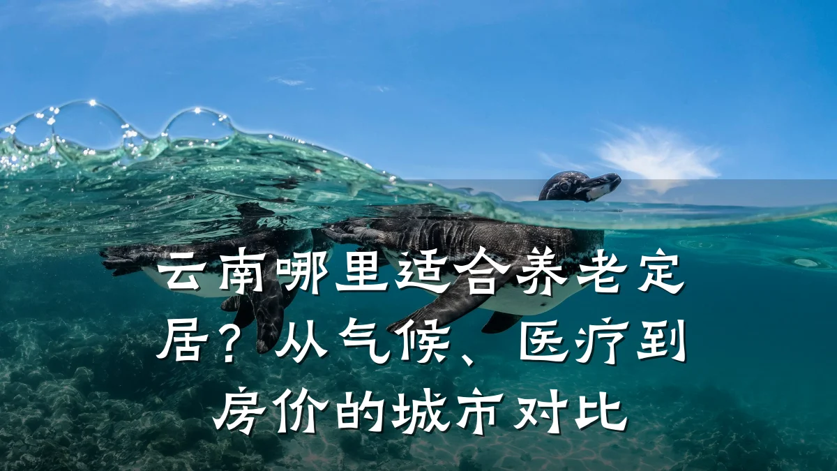 云南哪里适合养老定居?从气候、医疗到房价的城市对比