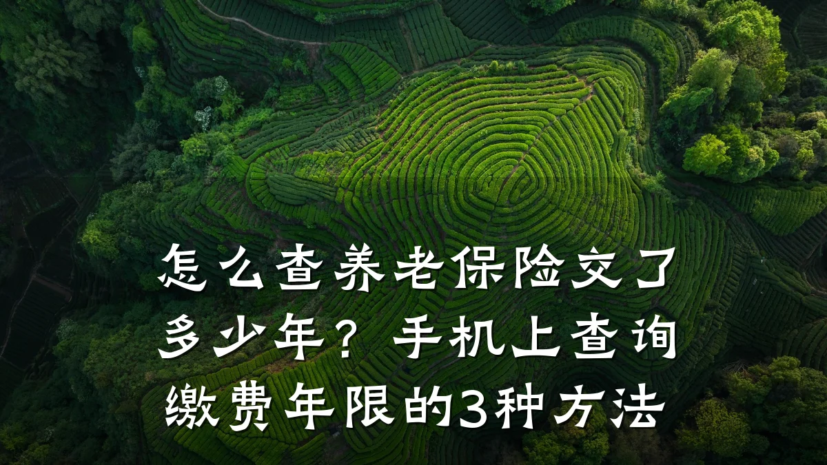 怎么查养老保险交了多少年？手机上查询缴费年限的3种方法