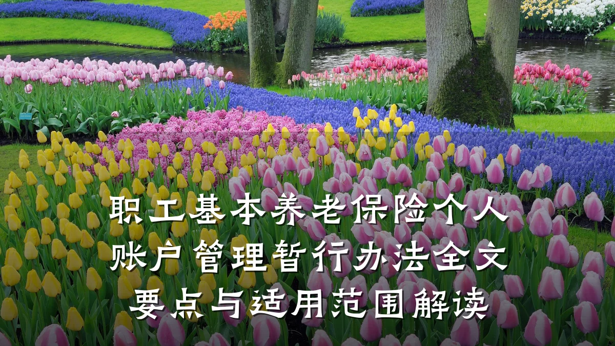 职工基本养老保险个人账户管理暂行办法全文要点与适用范围解读