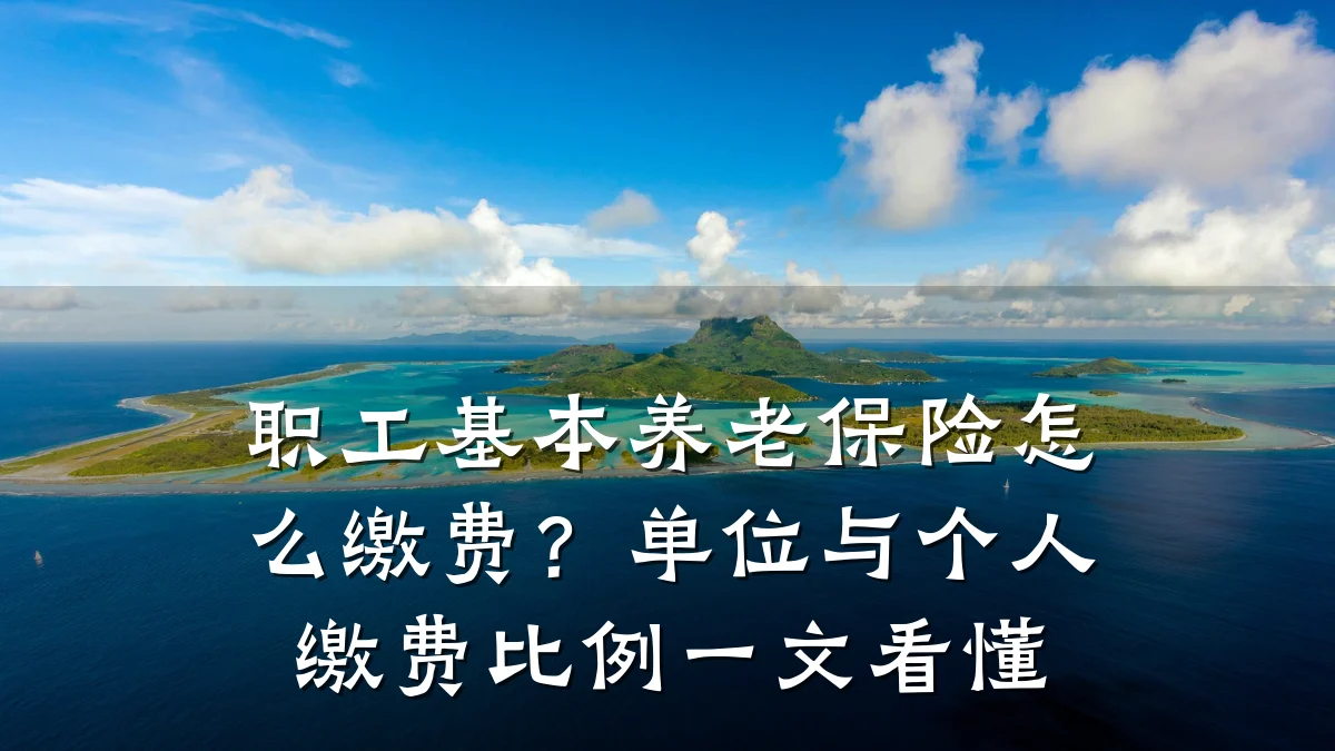 职工基本养老保险怎么缴费?单位与个人缴费比例一文看懂