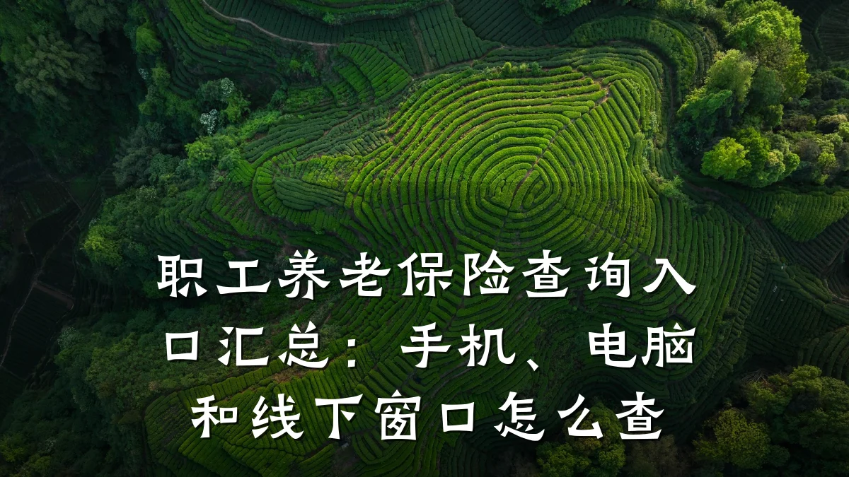 职工养老保险查询入口汇总:手机、电脑和线下窗口怎么查