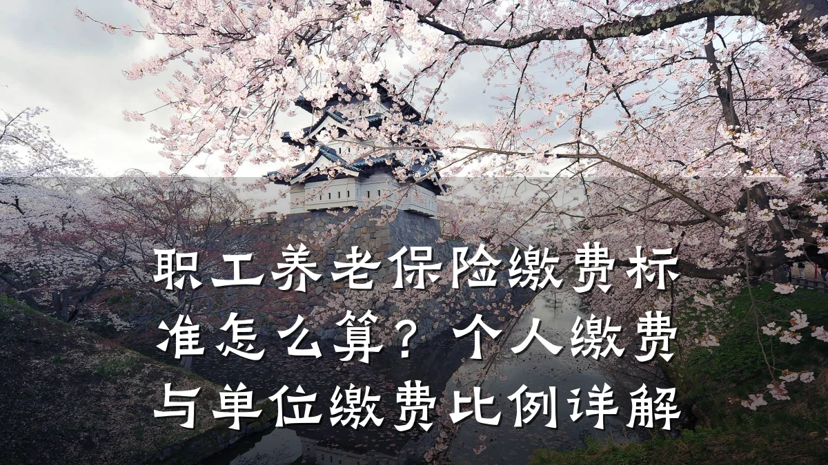 职工养老保险缴费标准怎么算？个人缴费与单位缴费比例详解