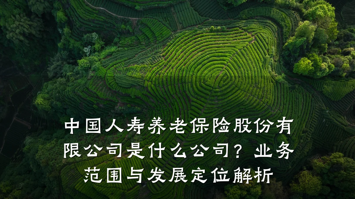 中国人寿养老保险股份有限公司是什么公司?业务范围与发展定位解析