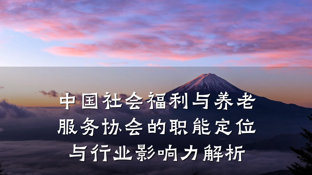 中国社会福利与养老服务协会的职能定位与行业影响力解析
