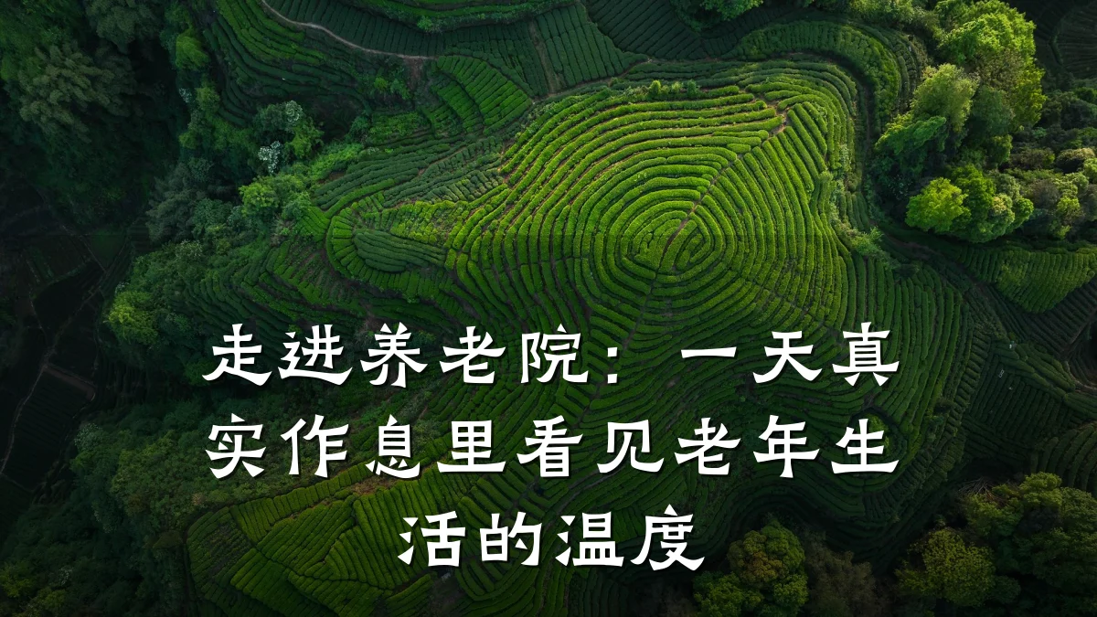 走进养老院：一天真实作息里看见老年生活的温度