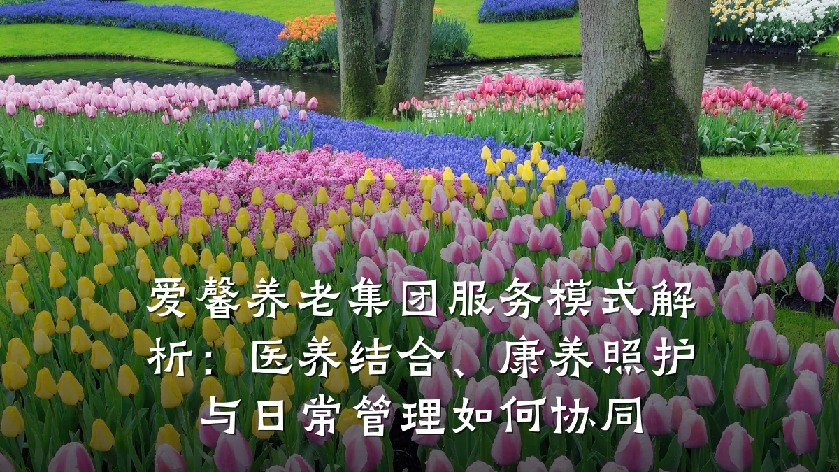 爱馨养老集团服务模式解析:医养结合、康养照护与日常管理如何协同