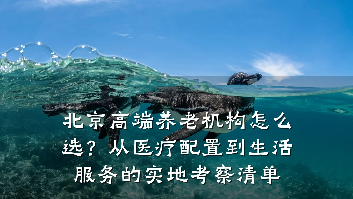 北京高端养老机构怎么选?从医疗配置到生活服务的实地考察清单