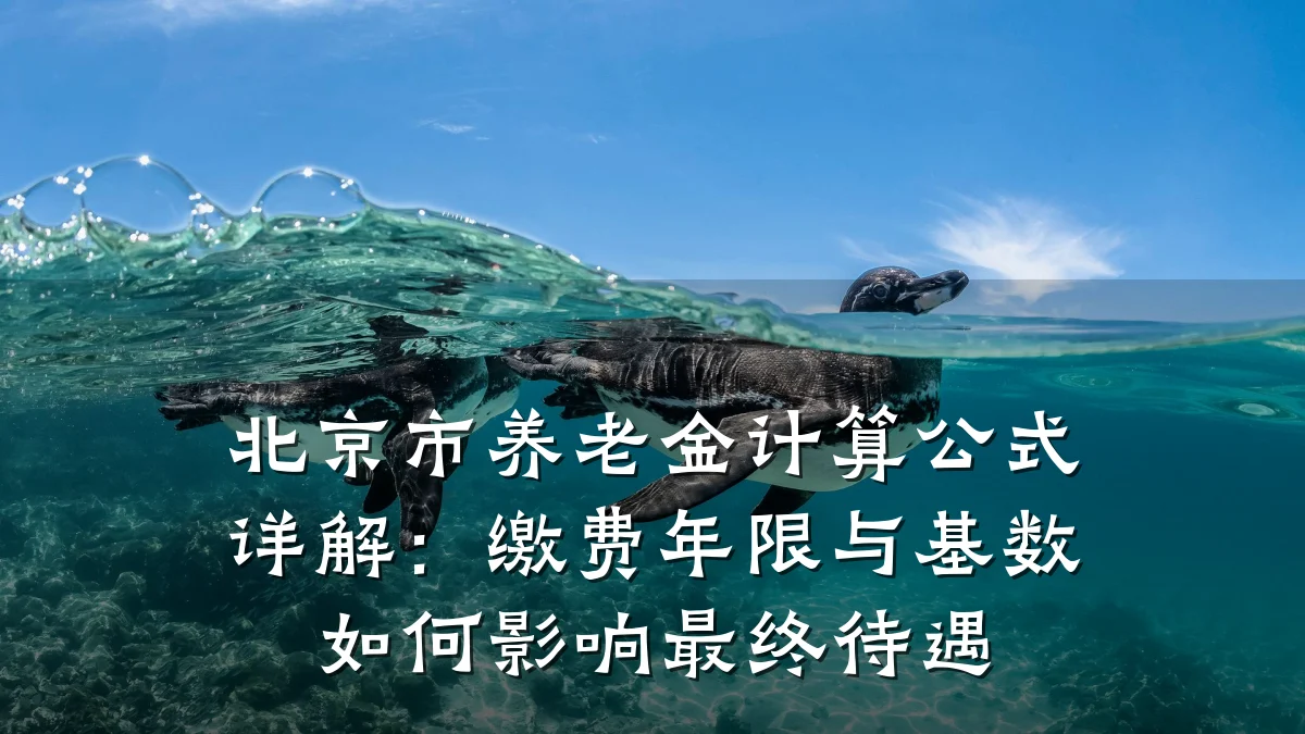 北京市养老金计算公式详解：缴费年限与基数如何影响最终待遇