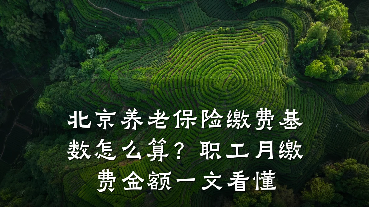 北京养老保险缴费基数怎么算?职工月缴费金额一文看懂
