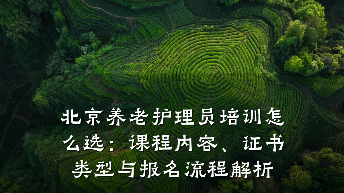 北京养老护理员培训怎么选:课程内容、证书类型与报名流程解析
