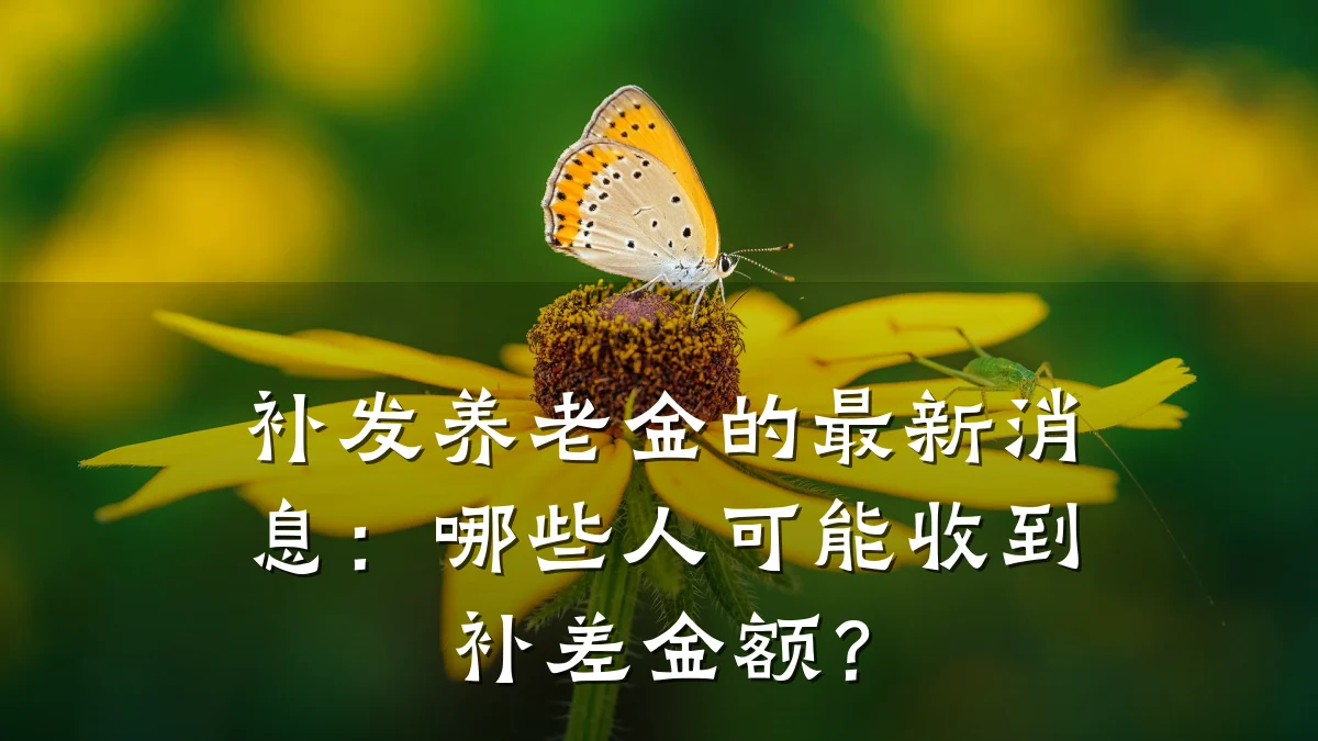 补发养老金的最新消息:哪些人可能收到补差金额?