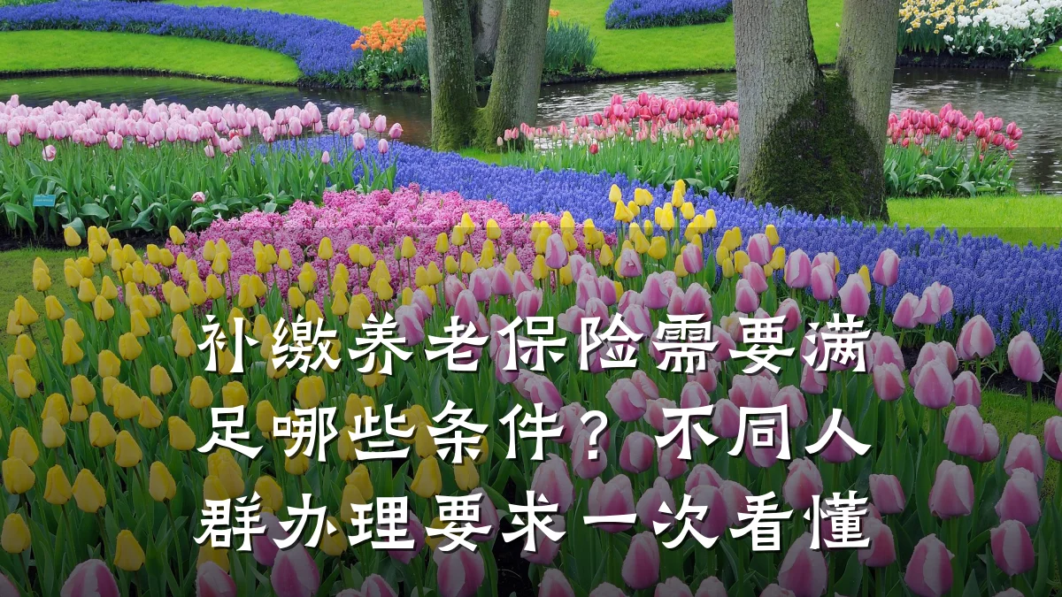 补缴养老保险需要满足哪些条件？不同人群办理要求一次看懂