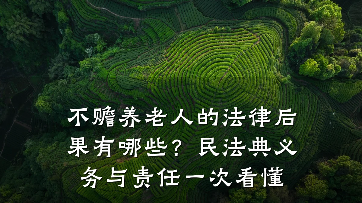 不赡养老人的法律后果有哪些？民法典义务与责任一次看懂