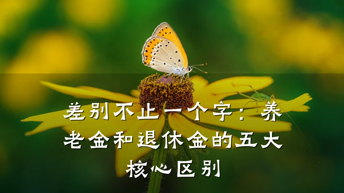 差别不止一个字:养老金和退休金的五大核心区别