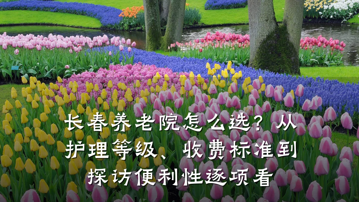 长春养老院怎么选？从护理等级、收费标准到探访便利性逐项看
