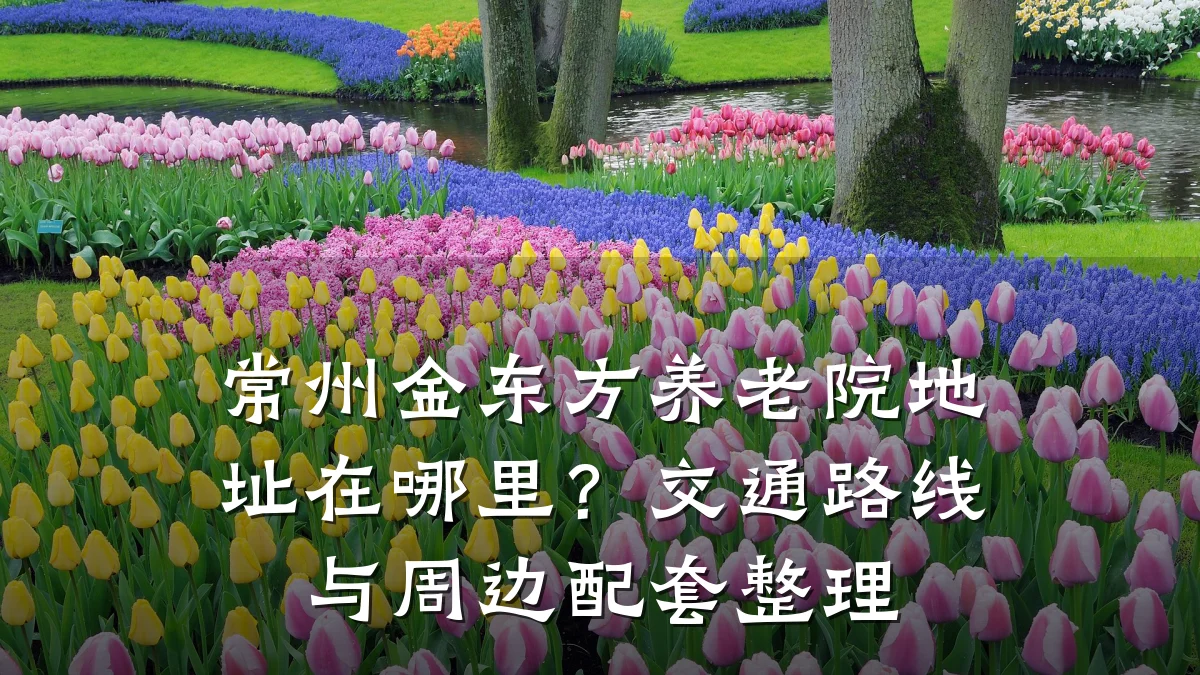常州金东方养老院地址在哪里？交通路线与周边配套整理