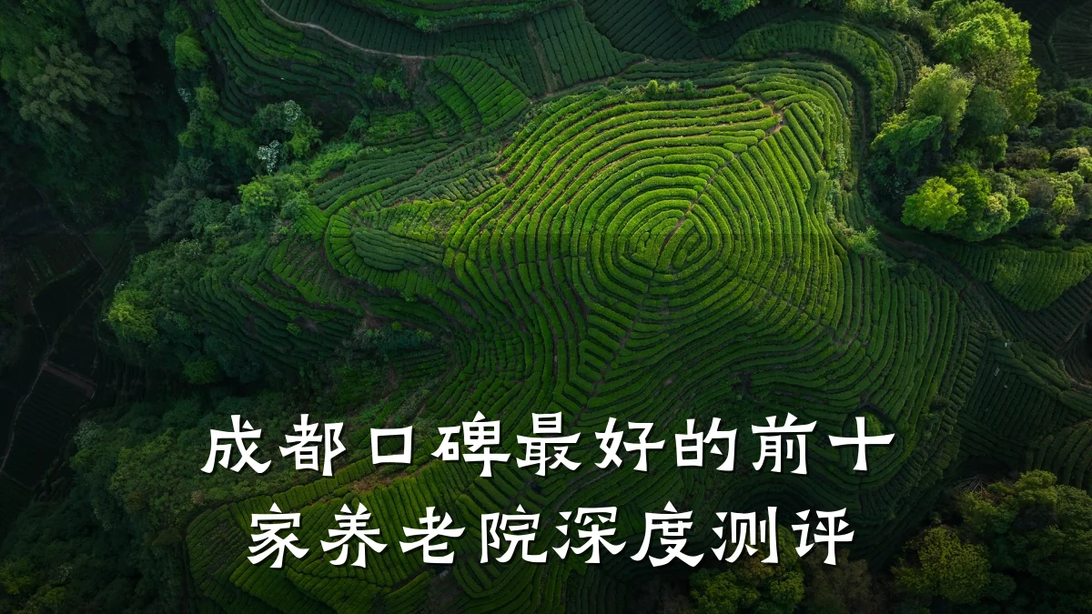 成都口碑最好的前十家养老院深度测评