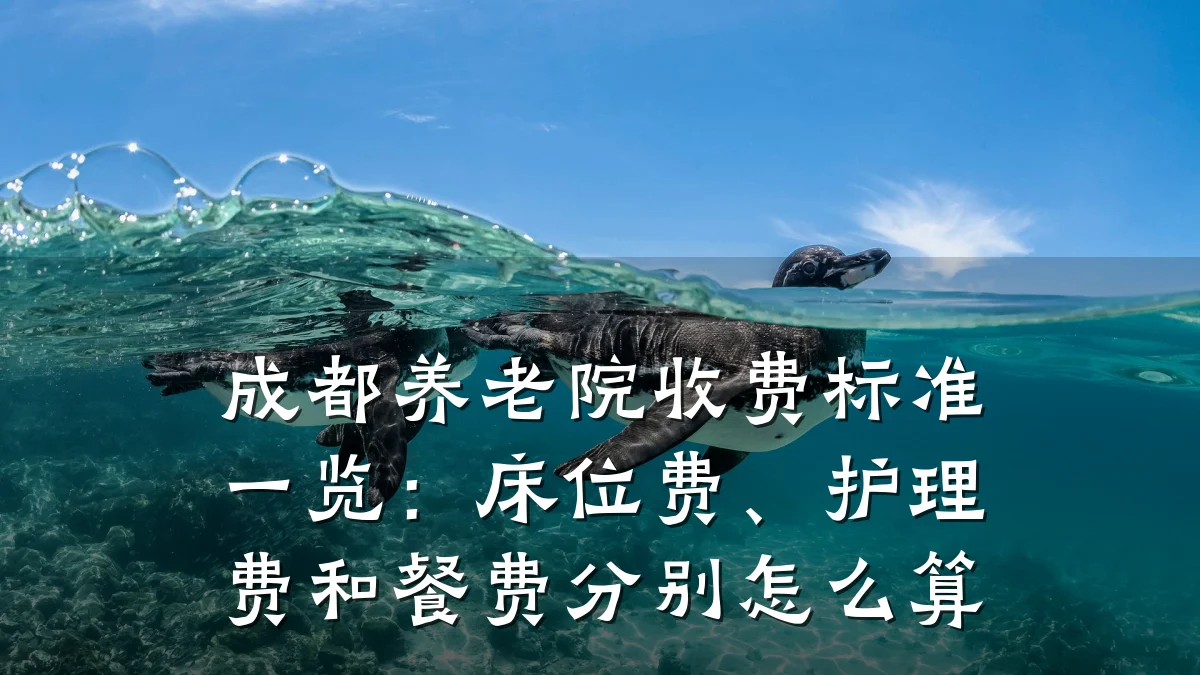 成都养老院收费标准一览：床位费、护理费和餐费分别怎么算