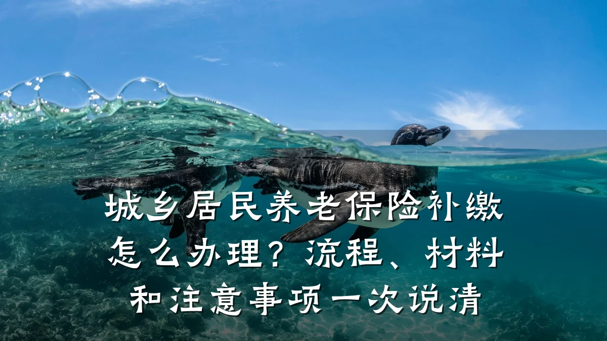 城乡居民养老保险补缴怎么办理?流程、材料和注意事项一次说清