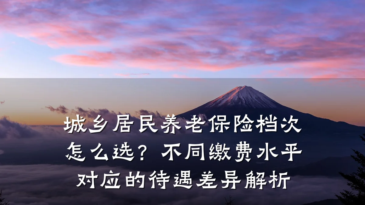 城乡居民养老保险档次怎么选?不同缴费水平对应的待遇差异解析