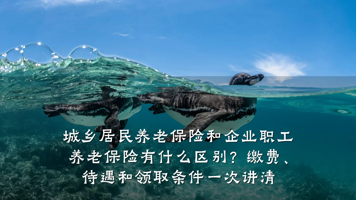 城乡居民养老保险和企业职工养老保险有什么区别？缴费、待遇和领取条件一次讲清