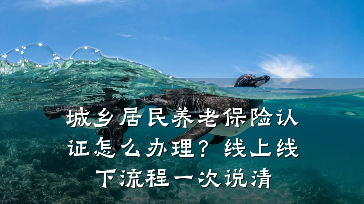 城乡居民养老保险认证怎么办理?线上线下流程一次说清