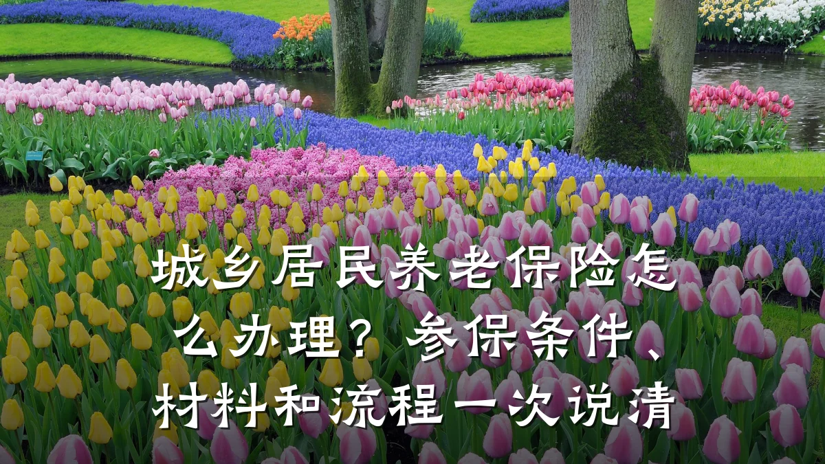 城乡居民养老保险怎么办理?参保条件、材料和流程一次说清