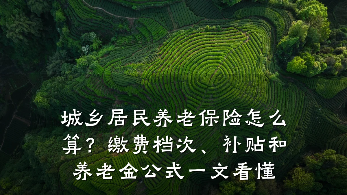 城乡居民养老保险怎么算?缴费档次、补贴和养老金公式一文看懂