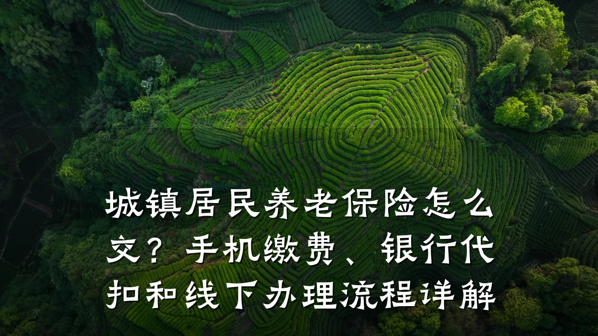 城镇居民养老保险怎么交？手机缴费、银行代扣和线下办理流程详解