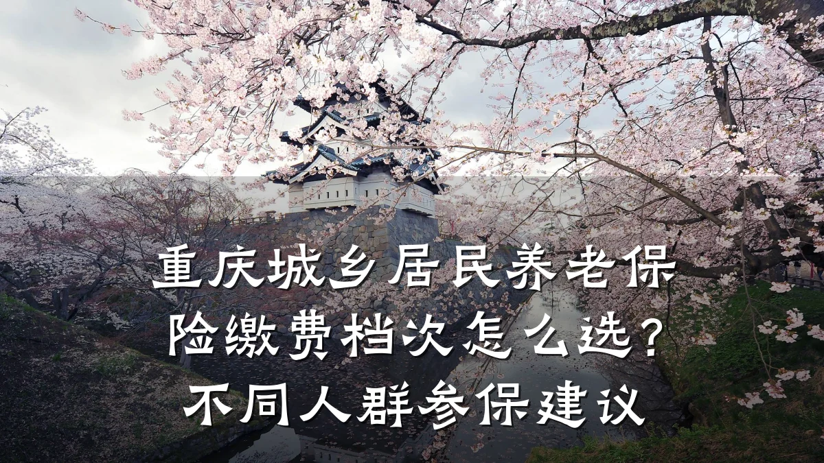 重庆城乡居民养老保险缴费档次怎么选?不同人群参保建议