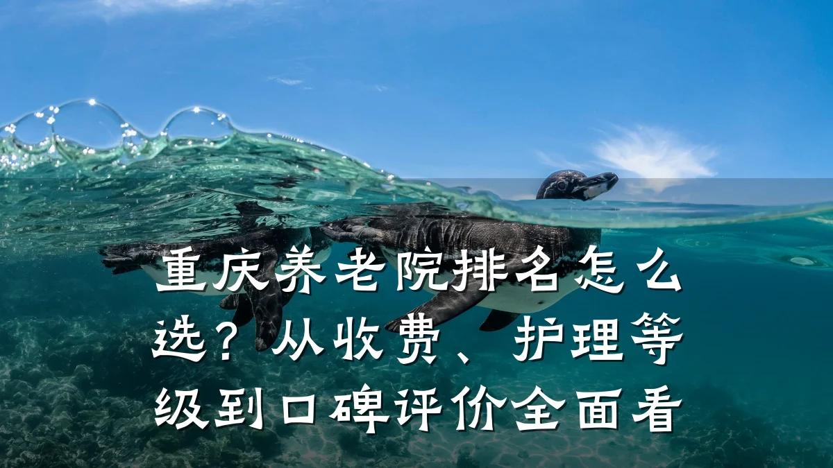重庆养老院排名怎么选?从收费、护理等级到口碑评价全面看