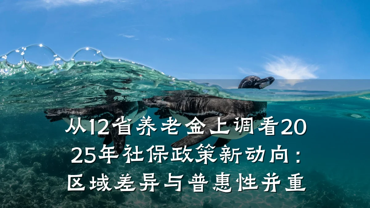 从12省养老金上调看2025年社保政策新动向:区域差异与普惠性并重