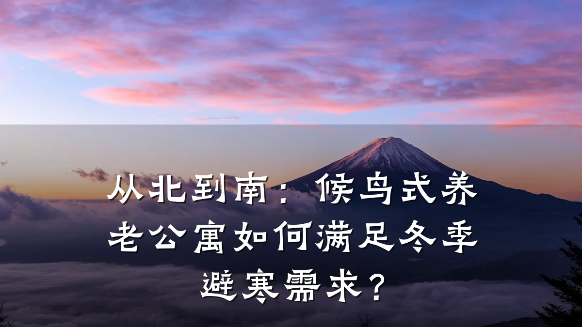 从北到南:候鸟式养老公寓如何满足冬季避寒需求?