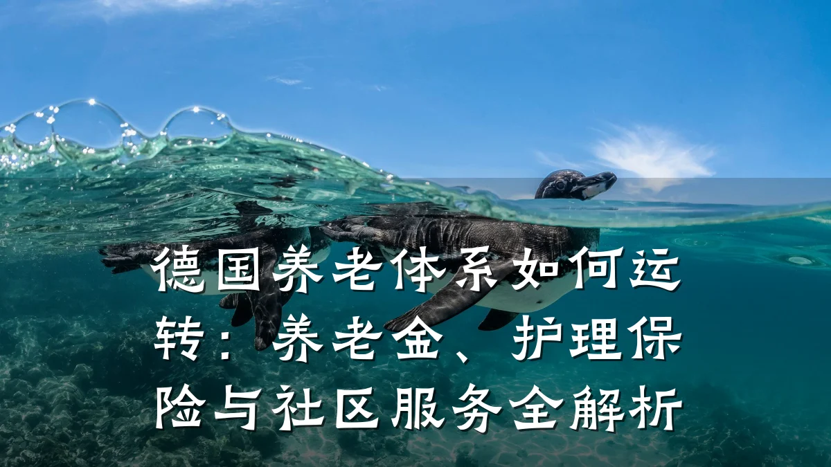 德国养老体系如何运转:养老金、护理保险与社区服务全解析