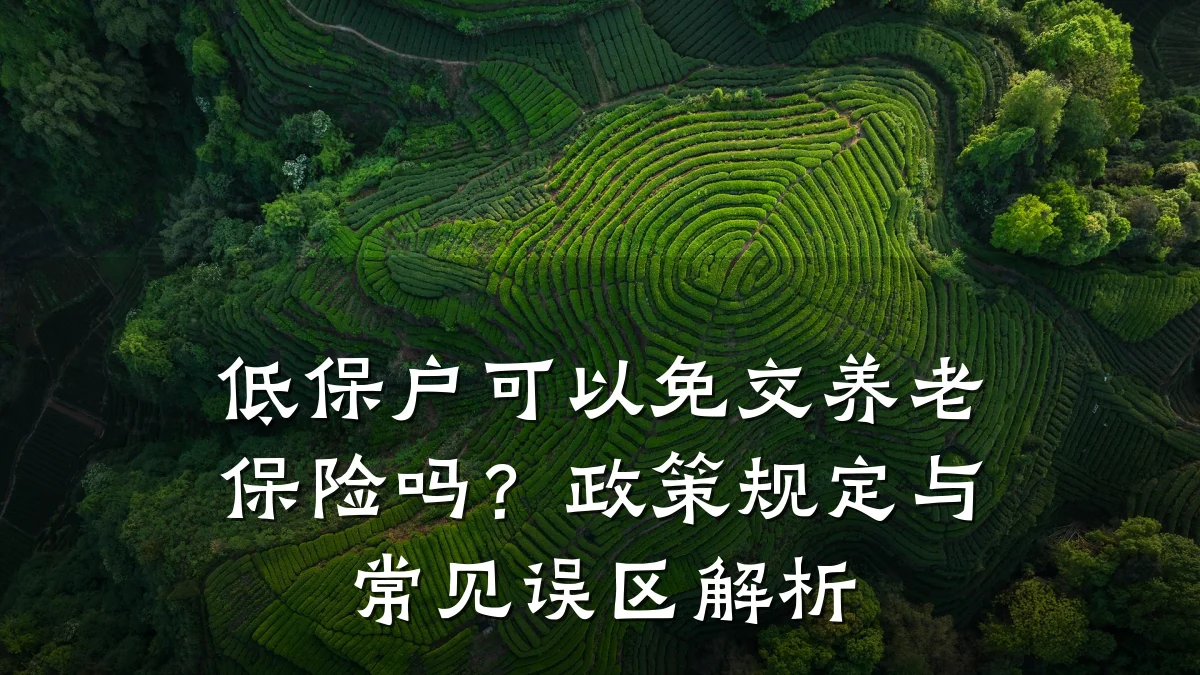 低保户可以免交养老保险吗?政策规定与常见误区解析