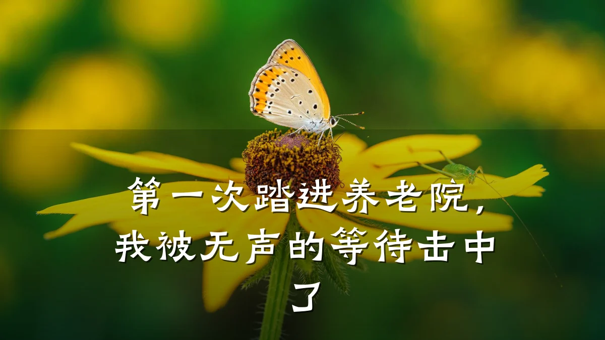 第一次踏进养老院,我被无声的等待击中了
