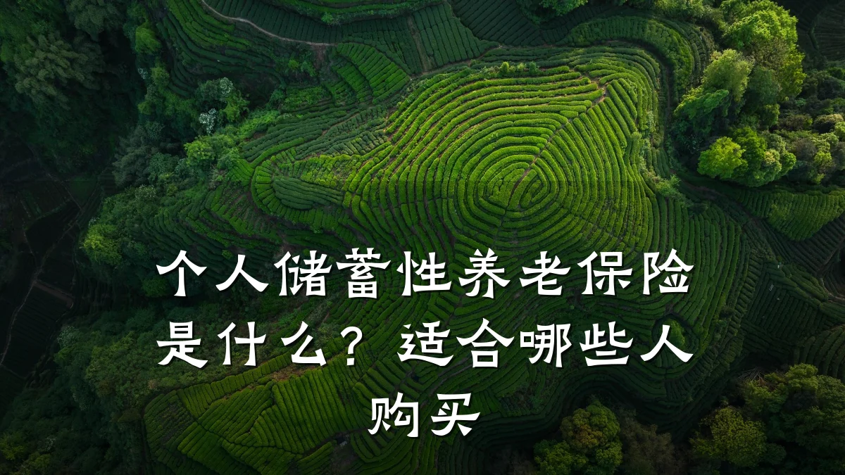 个人储蓄性养老保险是什么?适合哪些人购买