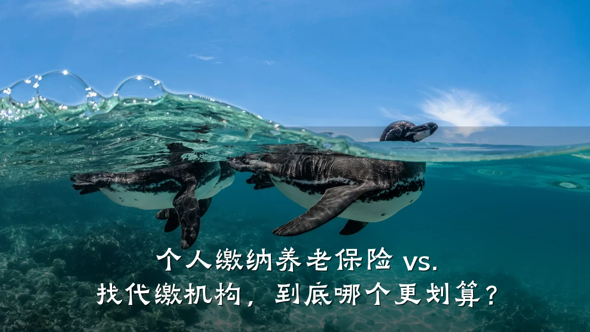 个人缴纳养老保险 vs. 找代缴机构，到底哪个更划算？