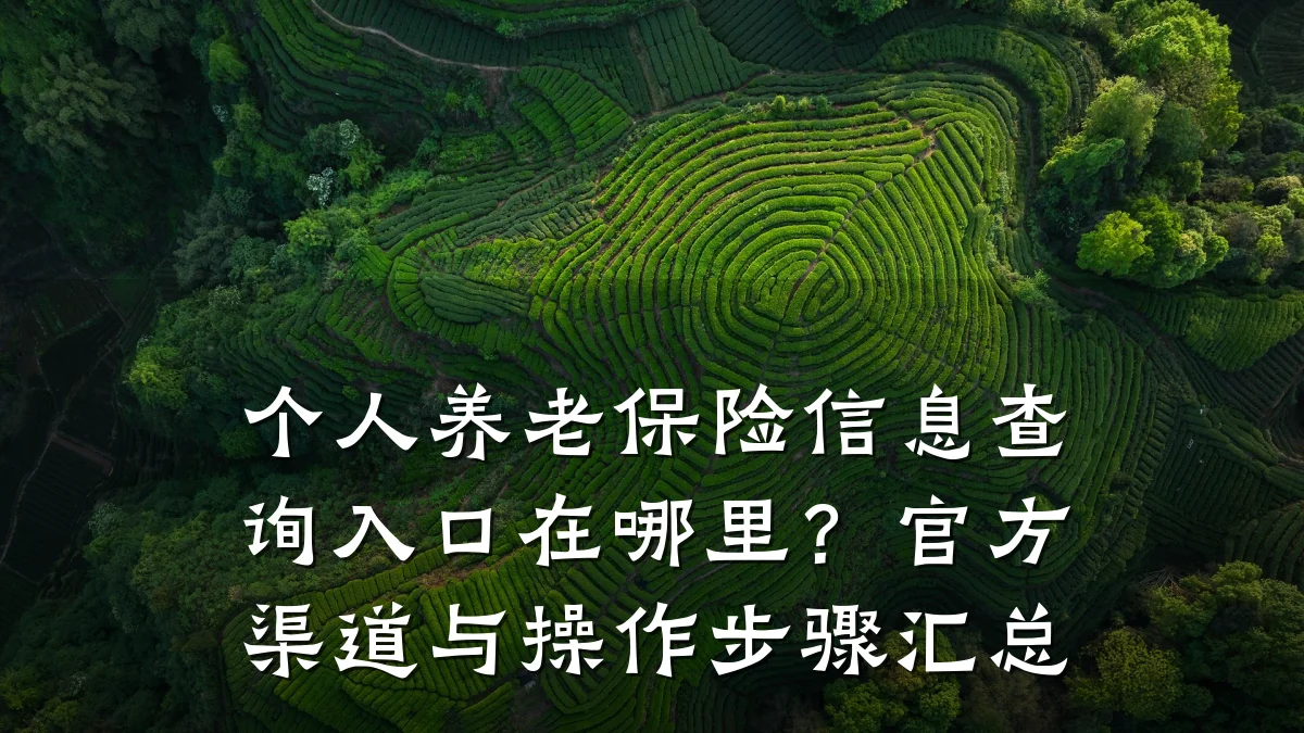 个人养老保险信息查询入口在哪里?官方渠道与操作步骤汇总