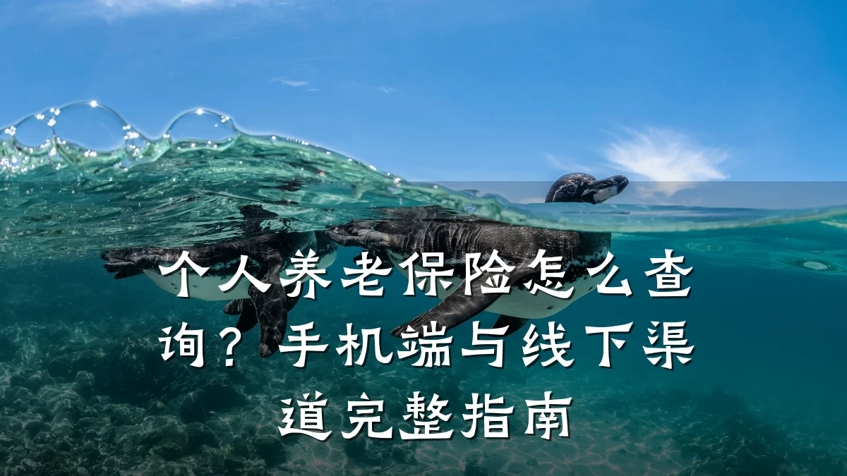 个人养老保险怎么查询?手机端与线下渠道完整指南