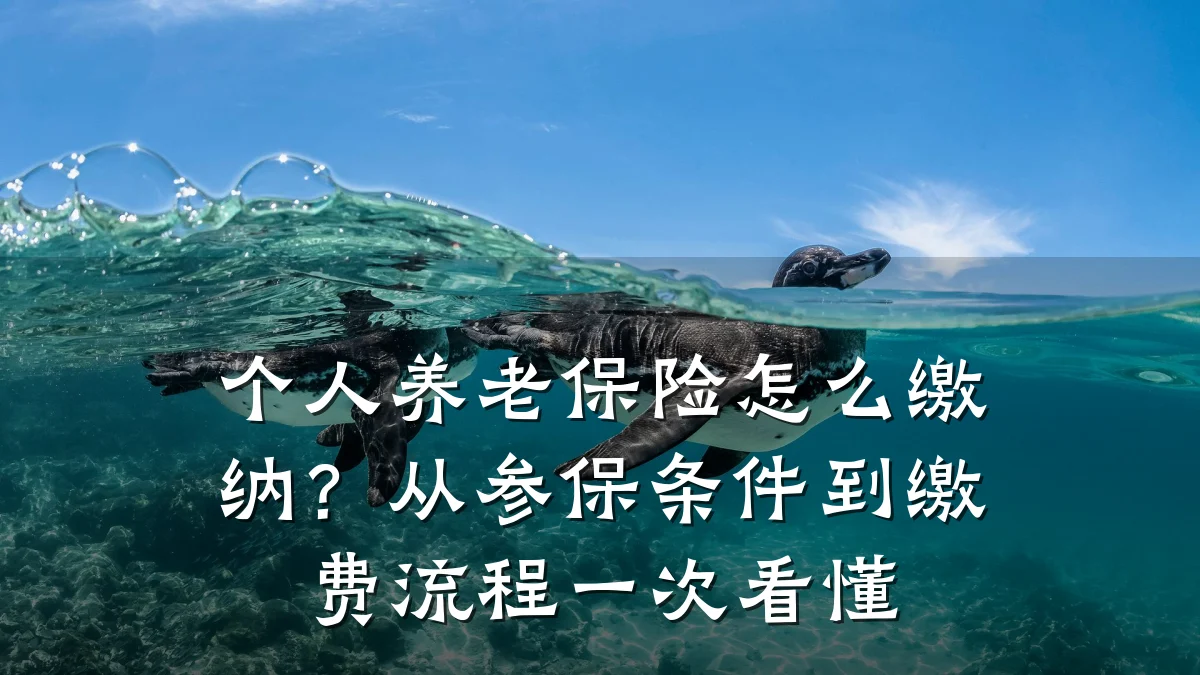 个人养老保险怎么缴纳?从参保条件到缴费流程一次看懂