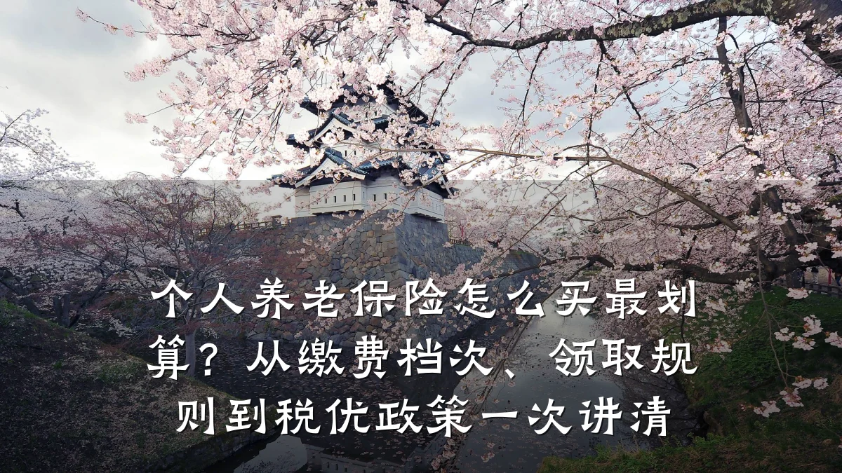 个人养老保险怎么买最划算？从缴费档次、领取规则到税优政策一次讲清