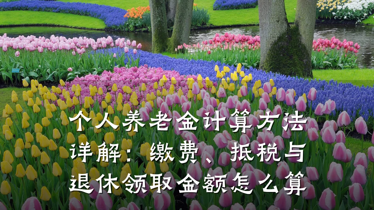 个人养老金计算方法详解:缴费、抵税与退休领取金额怎么算