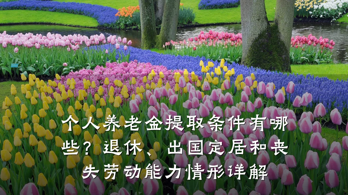 个人养老金提取条件有哪些？退休、出国定居和丧失劳动能力情形详解